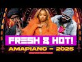 Amapiano Vibes 2025 Vol 2 Ngibolekeni Uyaphapha Marn Baphi More