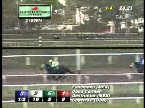 5TA CARRERA DOMINGO 16 DE FEBRERO DEL 2014 HPR