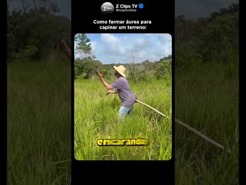 Aprenda como farmar Áurea 😂(@junior_mototaxi24)