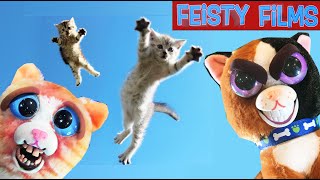 Prankster Kitties on the Loose! Feisty Pets Housecat Frenzy