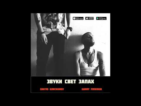 Garry Freedom & Dmitri Goncharov - Звуки Свет Запах (Official Audio)