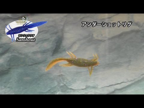 サンショウウオ ～アクション編～