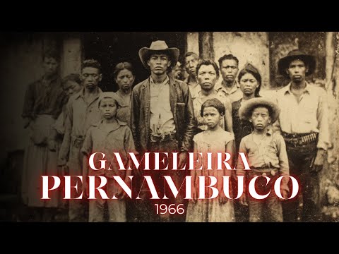 O Homem de Chapéu Preto na Estrada do Sítio Gameleira – Pernambuco (1966) | HISTORIA DE TERROR