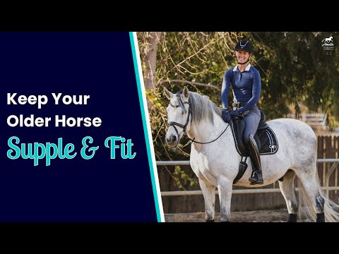Walk Exercises to Keep Your Horse Happy