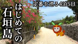 はじめての石垣島旅Vlog🏝️【定番スポットを巡りまくる4泊5日】(レンタカー無)