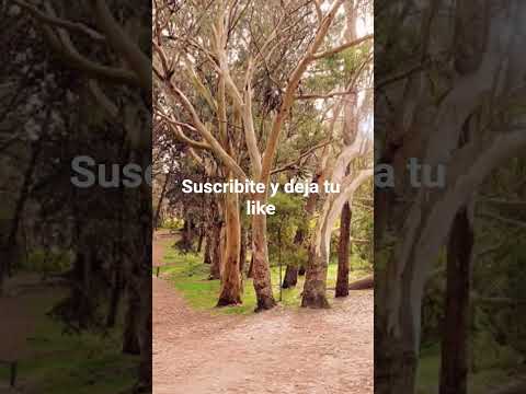 Villa Gesell provincia de Buenos Aires