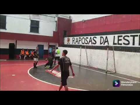 Defesa Em Peneira Raposas Da Leste