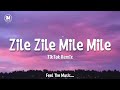 Zile Zile Zile Mile Mile TikTok Remix Song