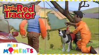 Little Red Tractor Saves Patch 🐶  | Little Red Tractor | Full Episodes | Mini Moments