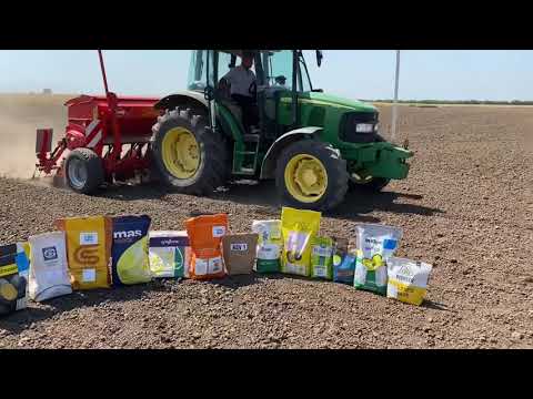 Semanat lot demo rapiță la SCDA Caracal - 79 de hibrizi, 13 companii de 🔝