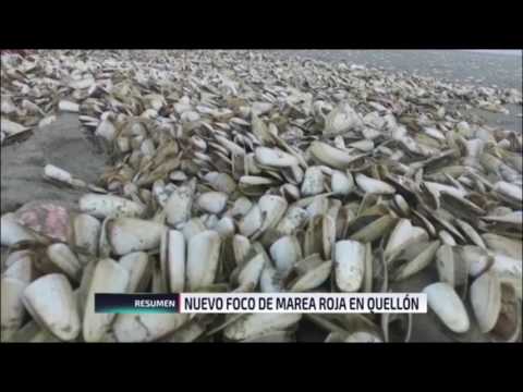 Resumen 15 de febrero de 2017 | 24 Horas TVN Chile