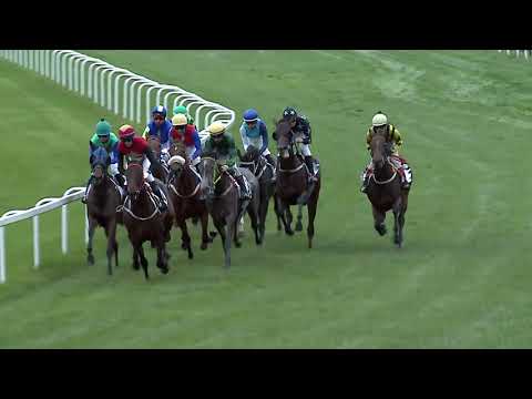 2023.09.24. 7. Futam - GRÓF KÁROLYI GYULA EMLÉKVERSENY (HUN Gd-3) (körpálya)