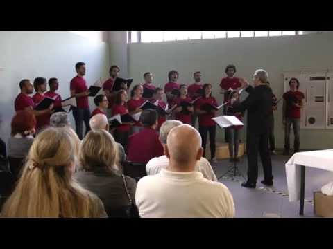 Coro Decanter - Castelli Romani - Gabriele Vendittelli