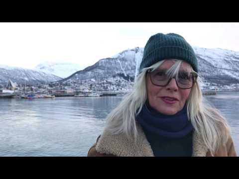 Marit Sandvik - En dag i januar