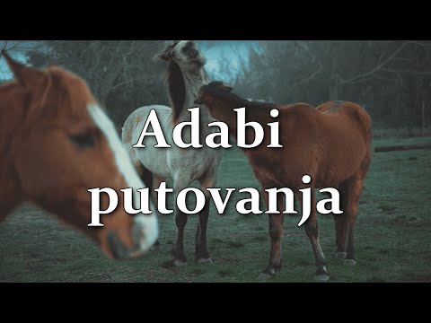 Hadisi: Adabi putovanja