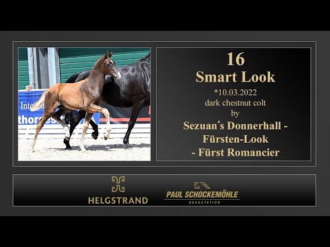 16 Smart Look by Sezuan's Donnerhall - Fürsten-Look