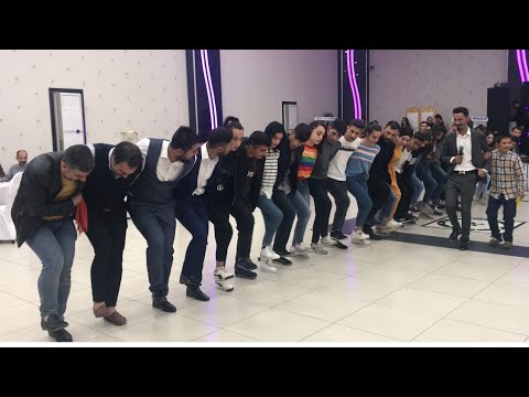 Şeyhmus dal hawar güle en iyi folklor ekibiyle muhteşem 6/8