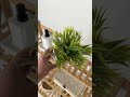 Youtube-видео 