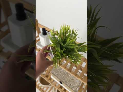 Youtube-видео 