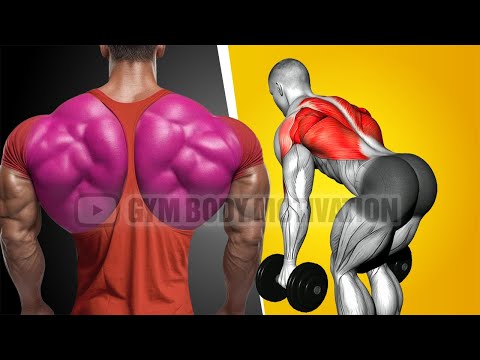 6 Effective Exercises To Build A 3D Back