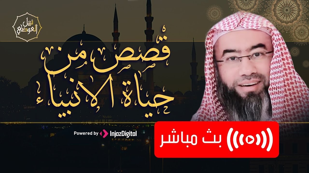 بث مباشر | قصص من حياة الأنبياء | قصص وعبر من حياة الرسل والمرسلين عليهم السلا?