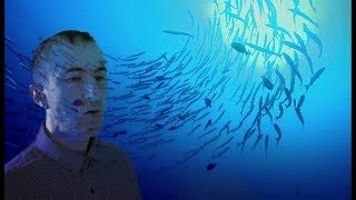 Dario Margeli  - Fluido (Video ufficiale)