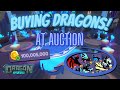 Buying Dragons at Auction (Dragon Adventures)