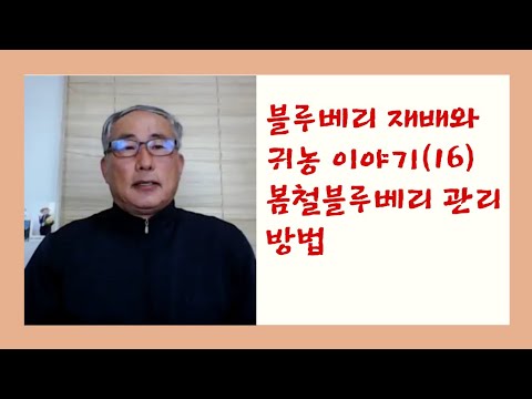 , title : '블루베리 재배와 귀농이야기(16) 봄철 블루베리 관리 방법'