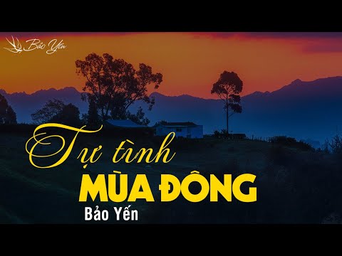 Tự tình mùa đông - Bảo Yến