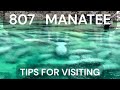 Visiting Manatees At Blue Spring State Park