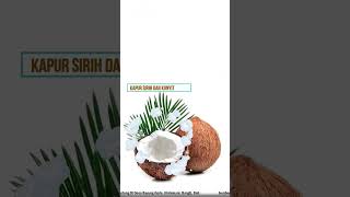 Download lagu menanam ari-ari sudah biasa. ini di gantung cuy #budayanusantara #balineseculture #faktaunik #fypシ mp3