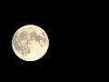 Moondog - Moondog's Theme (1957)