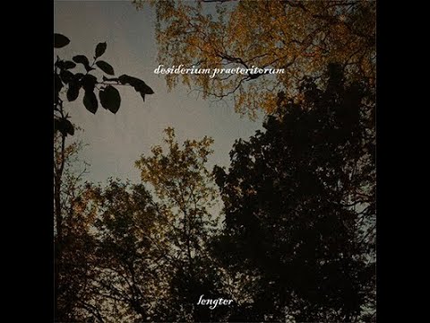 Lengter 2023 - Desiderium Praeteritorum (Dungeon Synth) (2023)