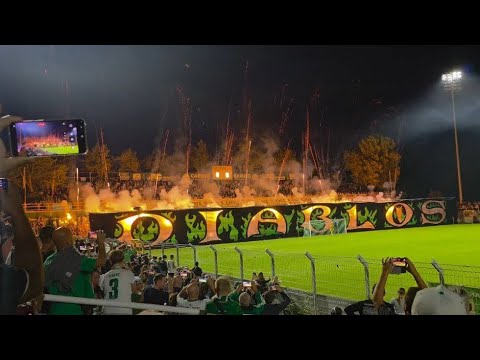 Stimmung Pyro BSG Chemie Leipzig-Fans im Alfred-Kunze-Sportpark gegen BFC Dynamo