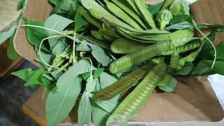 Download lagu 🇹🇼 Alhamdulillah Wa Syukru lillah ‼️ Aktivitas TKW Taiwan Alhamdulillah, and syahrulillah‼️Taiwane mp3