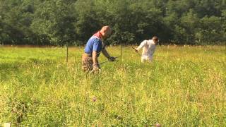 preview picture of video 'Vikatiga niitmise võistlus Soomaa Vikatimees'