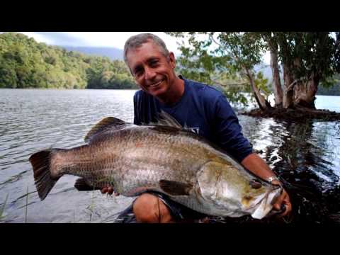 IFISH Cairns Barra