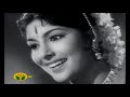 சின்னஞ்சிறிய வண்ணப்பறவை குங்குமம்