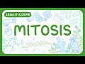 GCSE Biology Mitosis Chromosomes Cell Division Cytokinesis