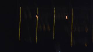 The Garden - The Gorilla / I See A Moth