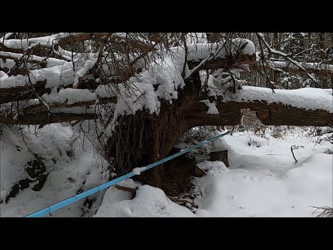 How we repair sugar bush pipeline  All kinds of different wild animal damage