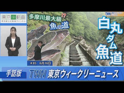 【手話版】多摩川最大級！白丸ダム魚道（令和5年6月16日 東京ウィークリーニュース No.85）