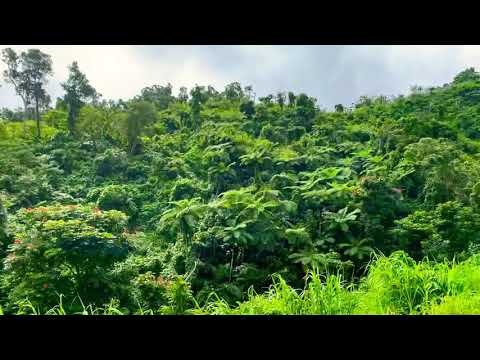 Route to Savusavu from Labasa.