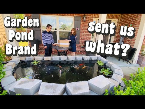 Testing pond supply from a garden pond brand that we’ve not experienced -Poposoap waterfall pump kit