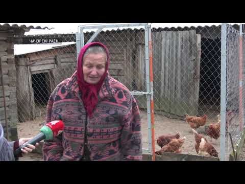 Дикие волки нападают на деревни в Чечерском районе видео