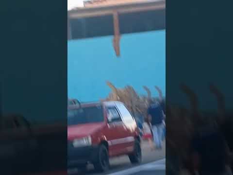 trem passando em águas da prata