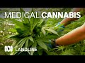 Boom In Use Of Medical Cannabis In Australia Landline ABC Australia