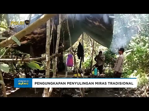 POLRES HALSEL UNGKAP LOKASI PENYULINGAN MIRAS CAP TIKUS DI AREAL PERKEBUNAN DESA KUBUNG