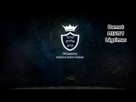 Los mejores videos de tehilim(35)