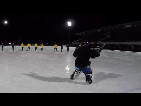 Bandy goalkeeper - saves from November 2016
